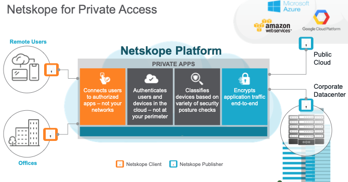 Netskope for Private Access Infographic